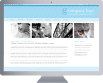 Gold Coast Website Design 